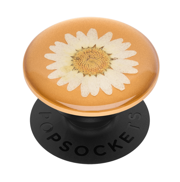 Pressed flower daisy white 02 grip