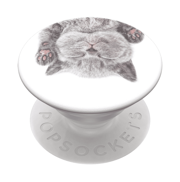 Cat nap 02 grip expanded 1