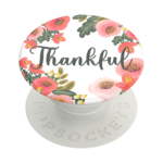 Thankful 02 grip expanded